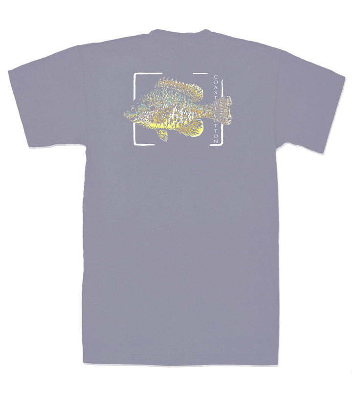 BLUEGILL