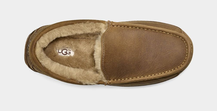 ASCOT TAN - WIDE