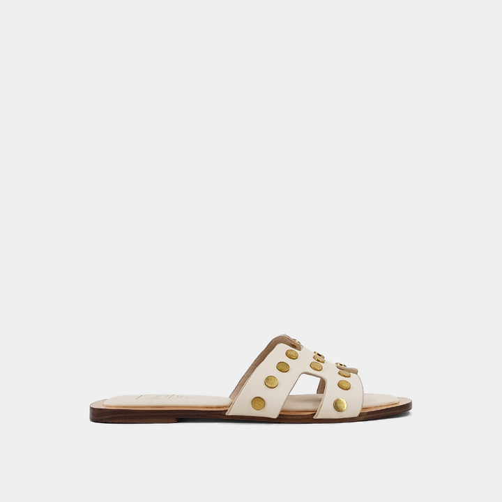 DONATELLA BONE