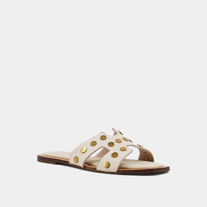 DONATELLA BONE