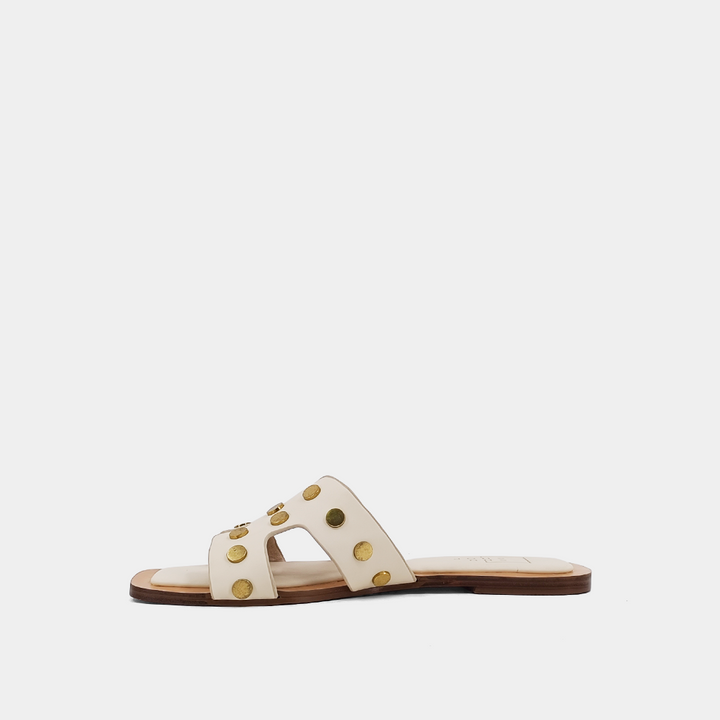 DONATELLA BONE